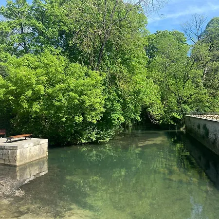 Bel Duck, Centre, Sèvres Niort