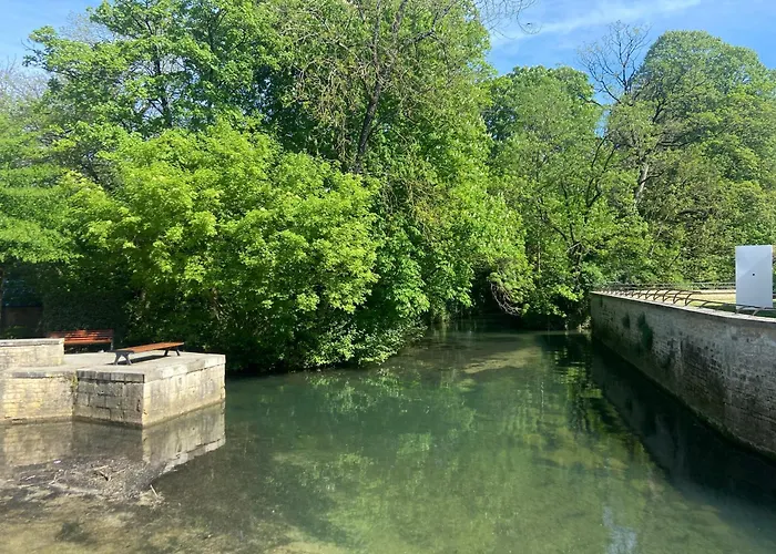 Bel Duck, Centre, Sevres Niort