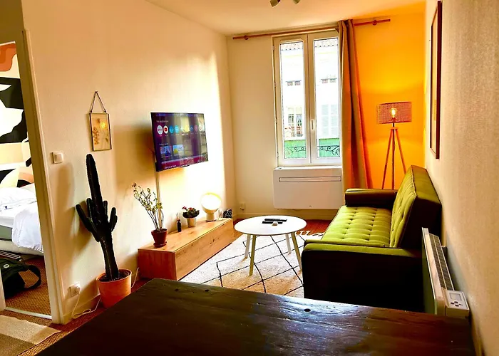 Bel Duck, Centre, Sevres Apartment Niort